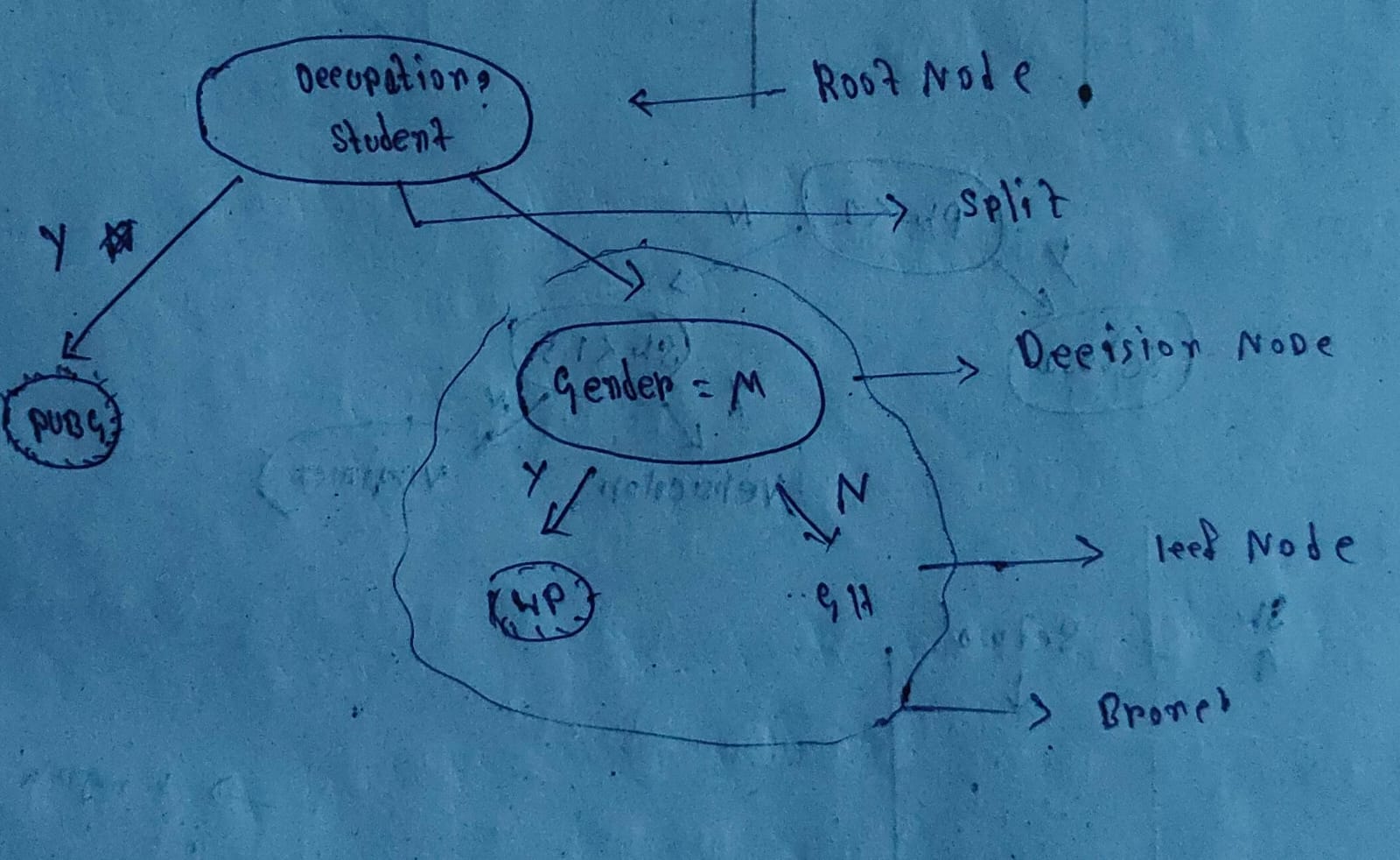 Decision Tree